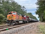 Canadian Visitor to East Texas